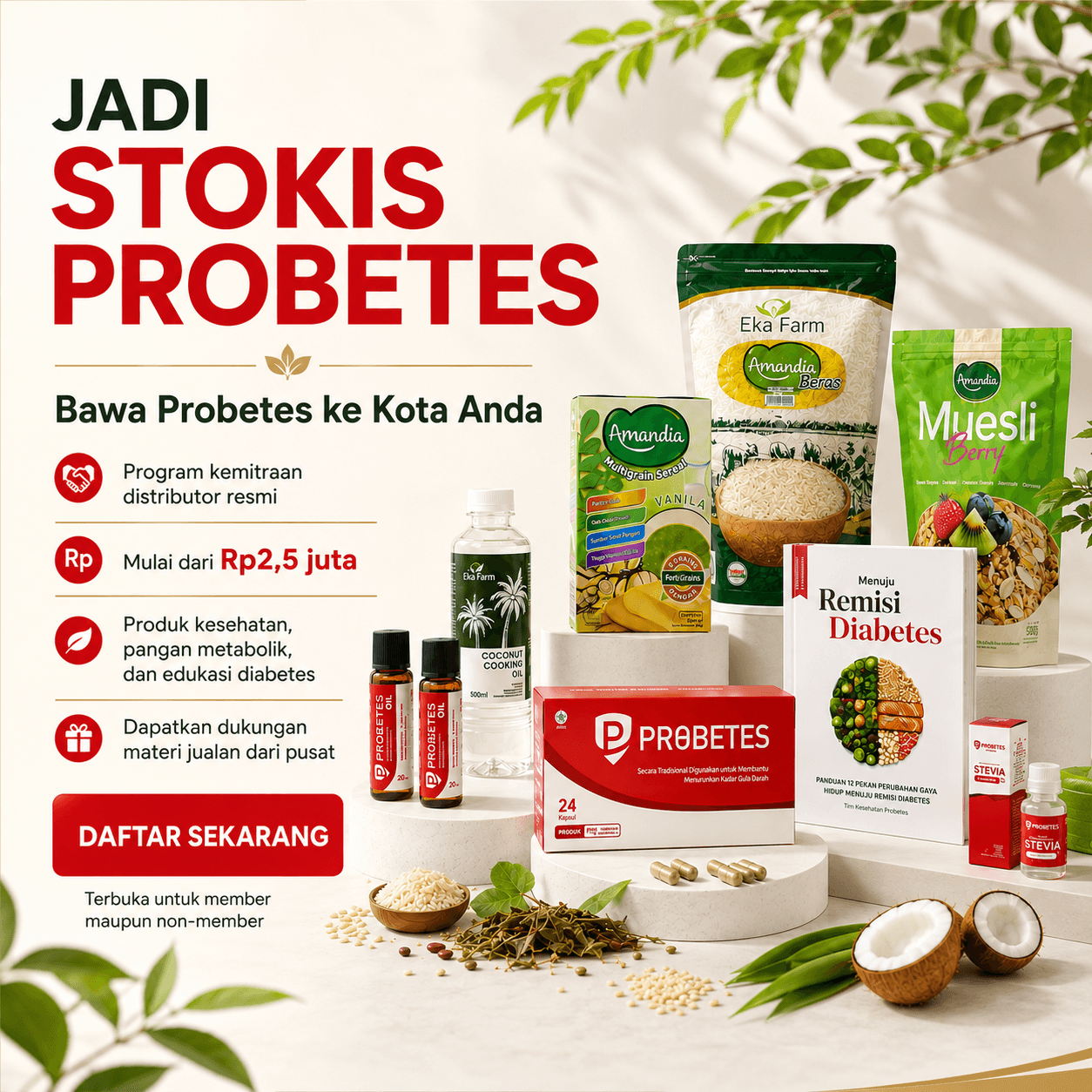 Jadi Stokis PROBETES